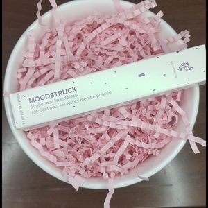 Younique Lip Exfoliator Peppermint NEW